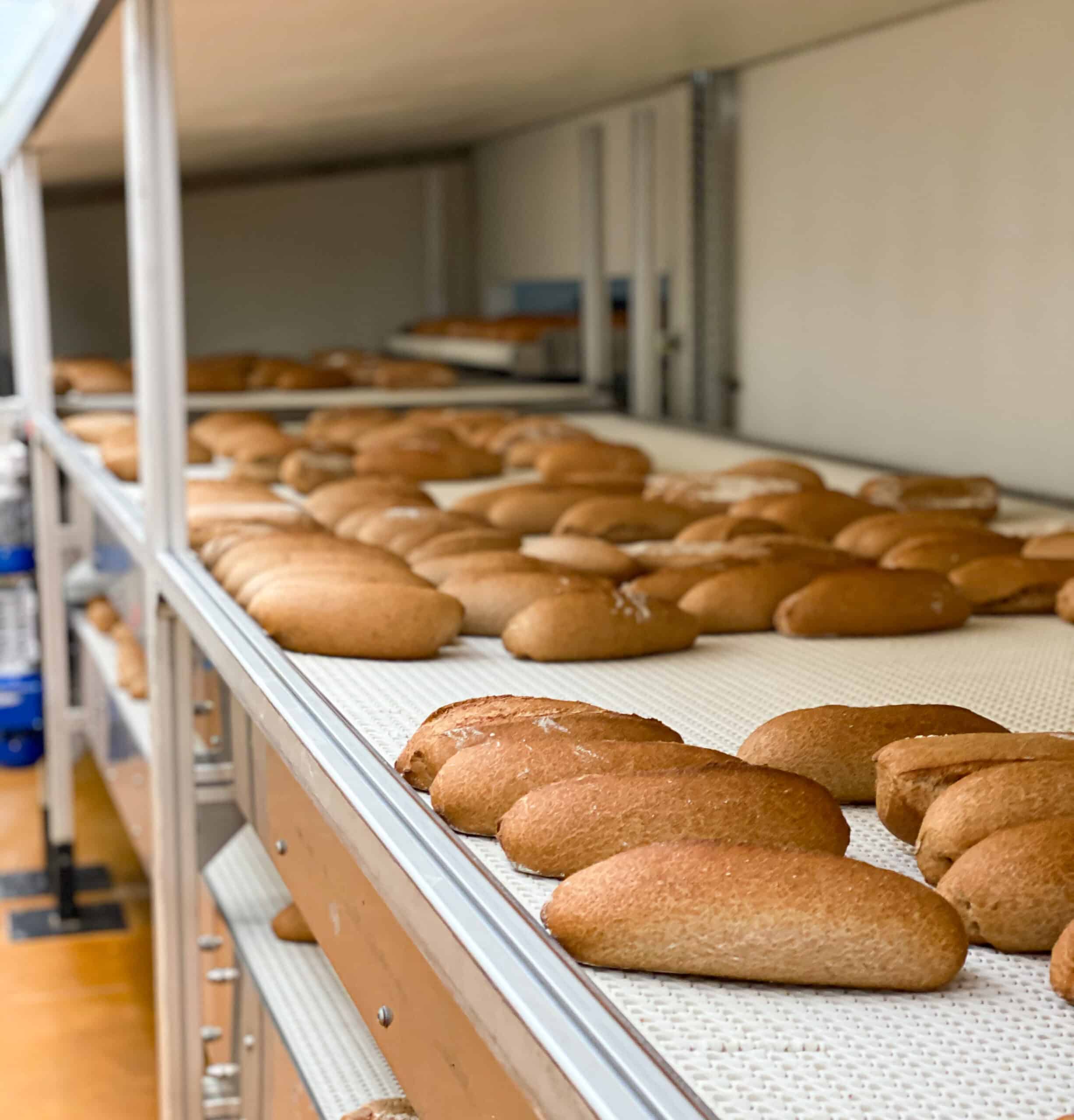 boulangerie industrielle agroalimentaire msi services